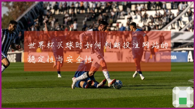 世界杯买球时如何判断投注网站的稳定性与安全性