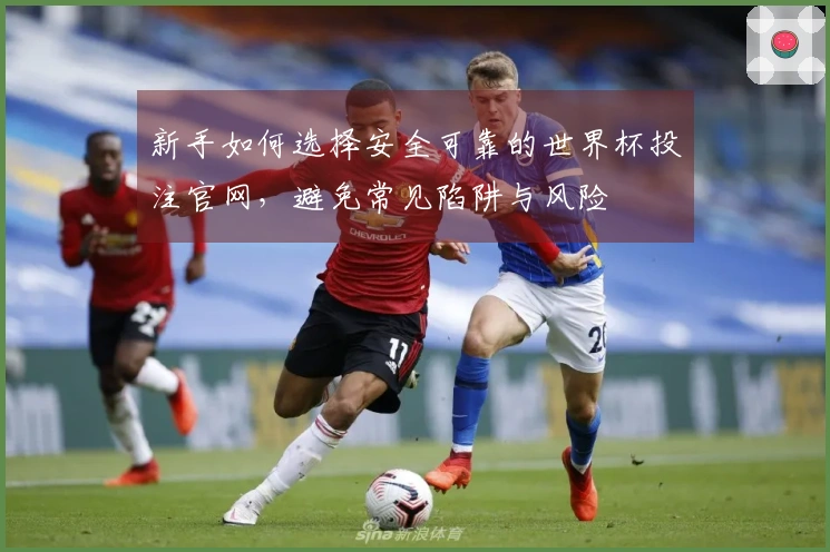 新手如何选择安全可靠的世界杯投注官网，避免常见陷阱与风险