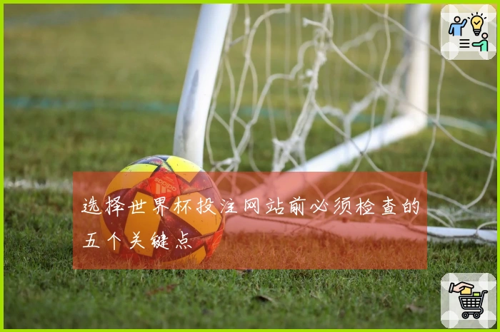 选择世界杯投注网站前必须检查的五个关键点