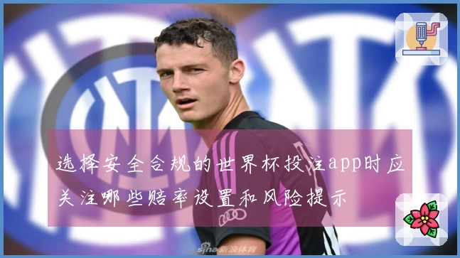 选择安全合规的世界杯投注app时应关注哪些赔率设置和风险提示