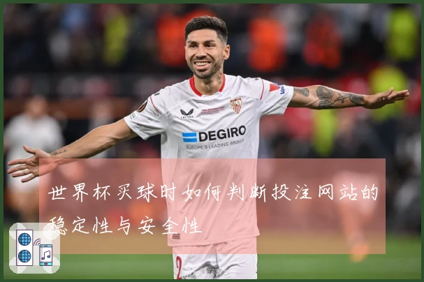 世界杯买球时如何判断投注网站的稳定性与安全性