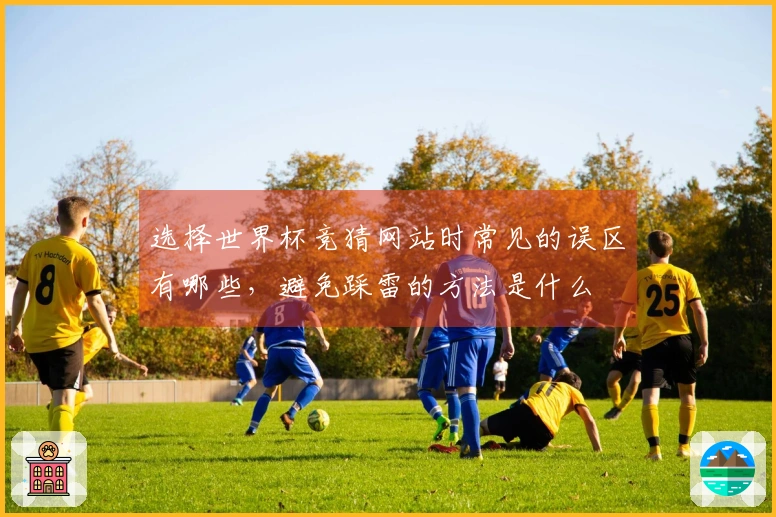 选择世界杯竞猜网站时常见的误区有哪些，避免踩雷的方法是什么