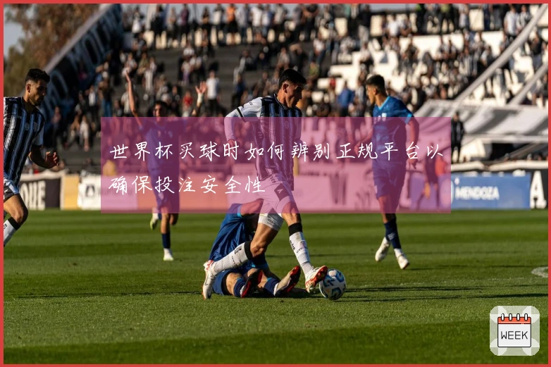 世界杯买球时如何辨别正规平台以确保投注安全性