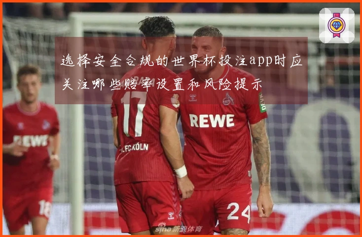 选择安全合规的世界杯投注app时应关注哪些赔率设置和风险提示